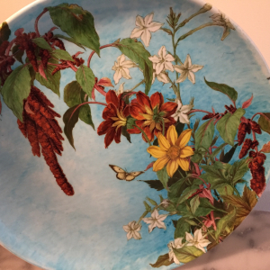 plat.: amarantes et dalhias simples