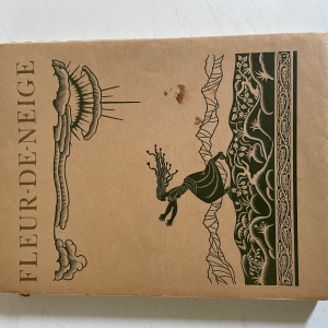 FLEUR-DE-NEIGE ET D'AUTRES CONTES DE GRIMM