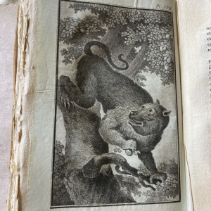 premier voyage 2 tomes et second voyage de Le Vaillant  3 tomes ,