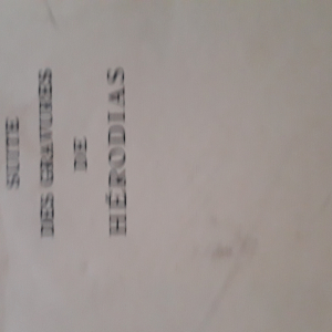 herodias illustration freida