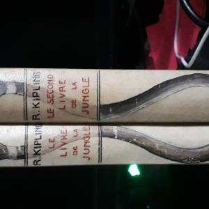 livre de la jungle avec autographe auteur