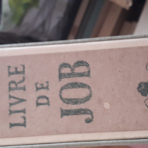 livre de job illustration eaux fortes Goerg