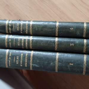 Atlas d'anatomie descriptive  Bonamy et beau  tome 1,3 et 4