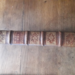 Louis Maimbourg, EO de 1674, Histoire de L'hérésie des iconoclastes