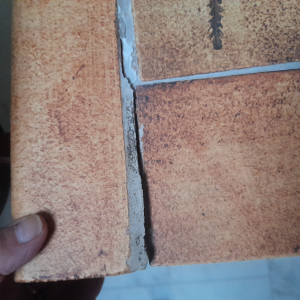 Table basse herbier signée roger capron