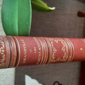 Les fleurs animées JJ GRANDVILLE TOME 2