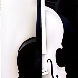 Violon noir et blanc