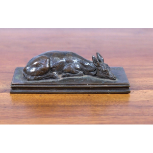 Faon de cerf couché