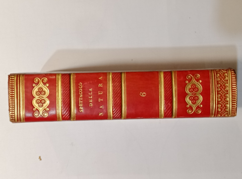 
															Le spectacle de la Nature
														