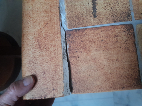 
															Table basse herbier signée roger capron
														