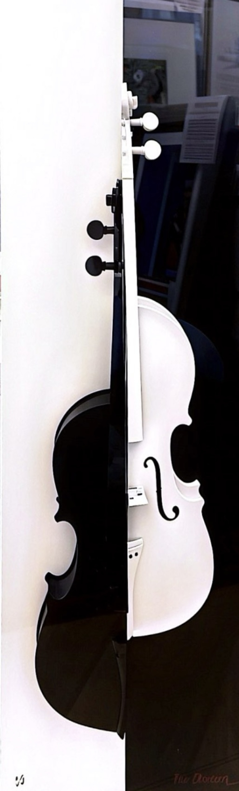 
															Violon noir et blanc
														