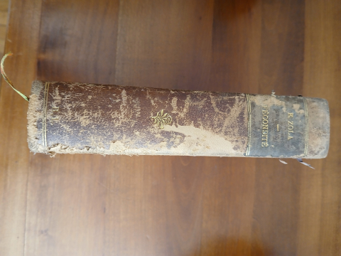 
															Livre ancien relié cuir dédicacé Émile Zola
														