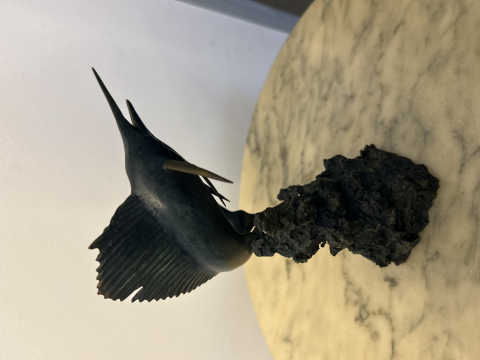 
															L’espadon signé Redon
														