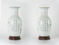 
													Paire de vases chinois anciens en porcelaine avec socles
												