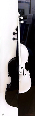 
													Violon noir et blanc
												