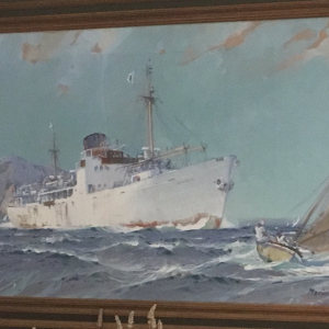 "GUYANE" - Gouache de MARIN MARIE