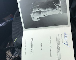 buste bronze "Persée" de Mitoraj