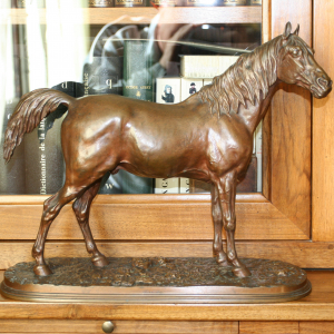 Cheval IBRAHIM P.J. MENE