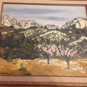 Les amandiers roses en provence