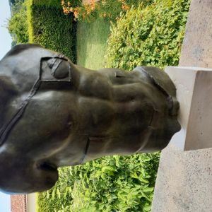 buste  Persée de MiTORAJ