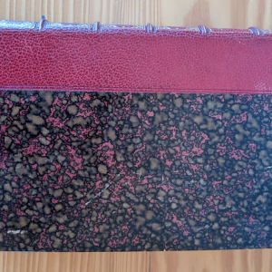 Edition du 19 janvier 1880 reliée des C