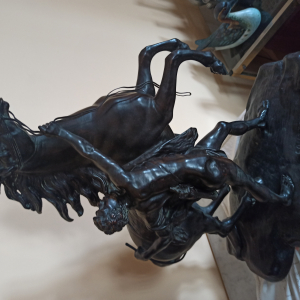 Bronze une paire les chevaux de marly