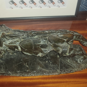 La chatte Georges Schneider