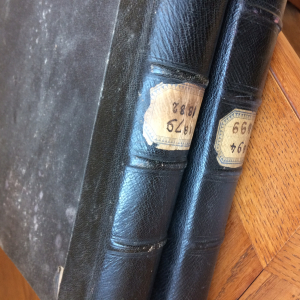 Albums de famille commenté