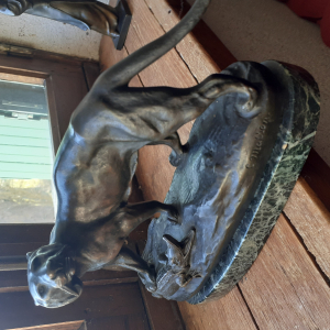 Panthère et crocodile