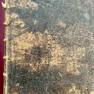 Ouvrage médical 1662 : Observations Chirurgiques