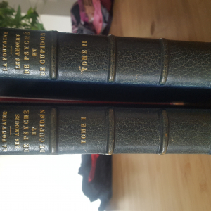 Tirage unique à 250 exemplaires "Les amours de psyché et Cupidon " n°203