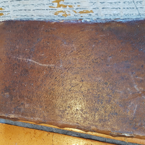 las foulieS dau sage de mounpelié