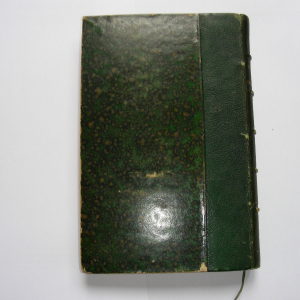 Fort comme la Mort de Guy de Maupassant