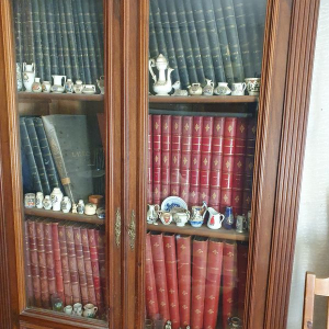 Collection l'illustration reliée 1870-1956