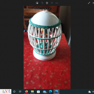 Cage oiseau de sainte radegonde