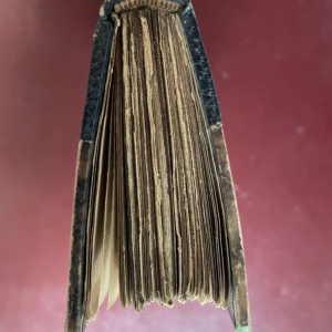 Antigrapheus sive Conscientia Hominis