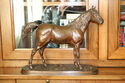 
															Cheval IBRAHIM P.J. MENE
														