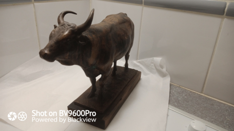 
															Taureau Henri Valette
														