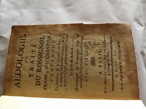 
															aedologie ou traité du rossignol
														