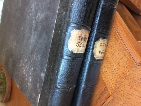 
															Albums de famille commenté
														