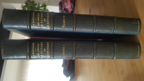 
															Tirage unique à 250 exemplaires "Les amours de psyché et Cupidon " n°203
														