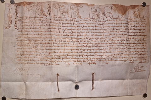 
															Manuscrit avec bulle papale XVIIème Alexander Papa VII
														