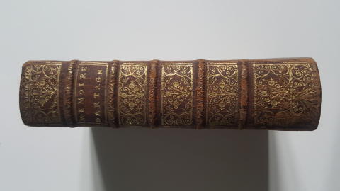 
															Mémoires de Monsieur D'Artagnan
														