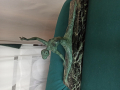 
															Statuette bronze Marcel Guillemard
														
